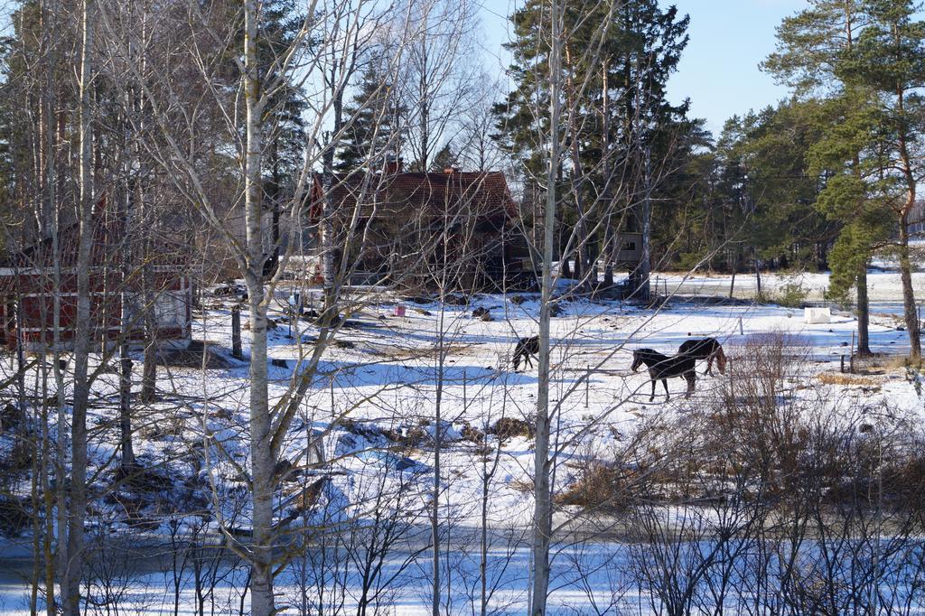 Silfvastas Holiday Homes Lapinjärvi Esterno foto